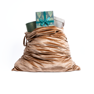 hayra velvet gift bag